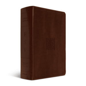 Crossway ESV Study Bible  (TruTone®, Walnut, Celtic Print Design)