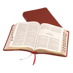 TBS Windsor Text Bible with Thumb Index, Burgundy Calfskin