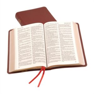 TBS KJV Windsor Text Bible, Burgundy Calfskin