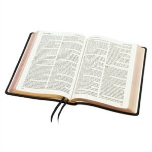 TBS Large Print Family Windsor Text Bible, Black Calfskin