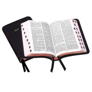 TBS KJV Royal Ruby Text Bible (Calfskin with Thumb Index)