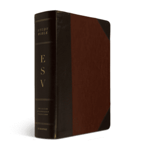 Crossway ESV Study Bible (TruTone®, Brown/Cordovan, Portfolio Design)