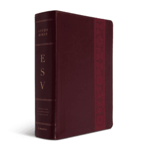 Crossway ESV Study Bible, Large Print (TruTone, Mahogany, Trellis Design)