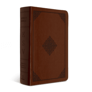 Crossway ESV Study Bible, Personal Size (TruTone®, Saddle, Ornament Design)