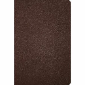 Holman CSB Large Print Thinline Bible, Holman Handcrafted Collection, Brown Premium Goatskin