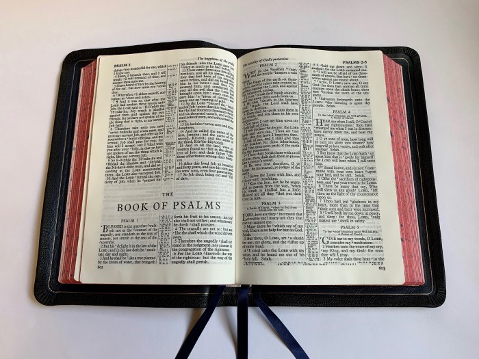 Allan KJV 53 Longprimer Black Highland Goatskin Bible-Speckled Page Edges - Image 3