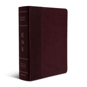 Crossway ESV Study Bible TruTone®, Burgundy/Red, Timeless Design