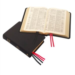 TBS KJV Compact Westminster Reference Bible, Black Calfskin