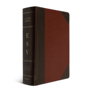 Crossway ESV Study Bible, Large Print (TruTone, Brown/Cordovan, Portfolio Design)