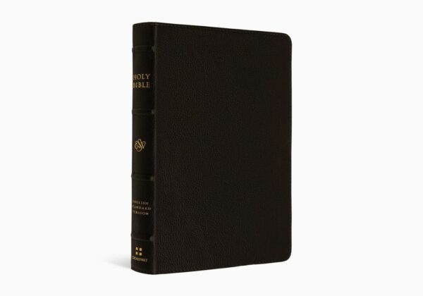 Crossway ESV Large Print Compact Bible, Buffalo Leather, Deep Brown ...