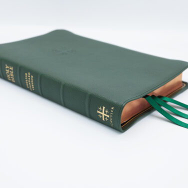 Schuyler Quentel ESV, Dark Green Goatskin Bible
