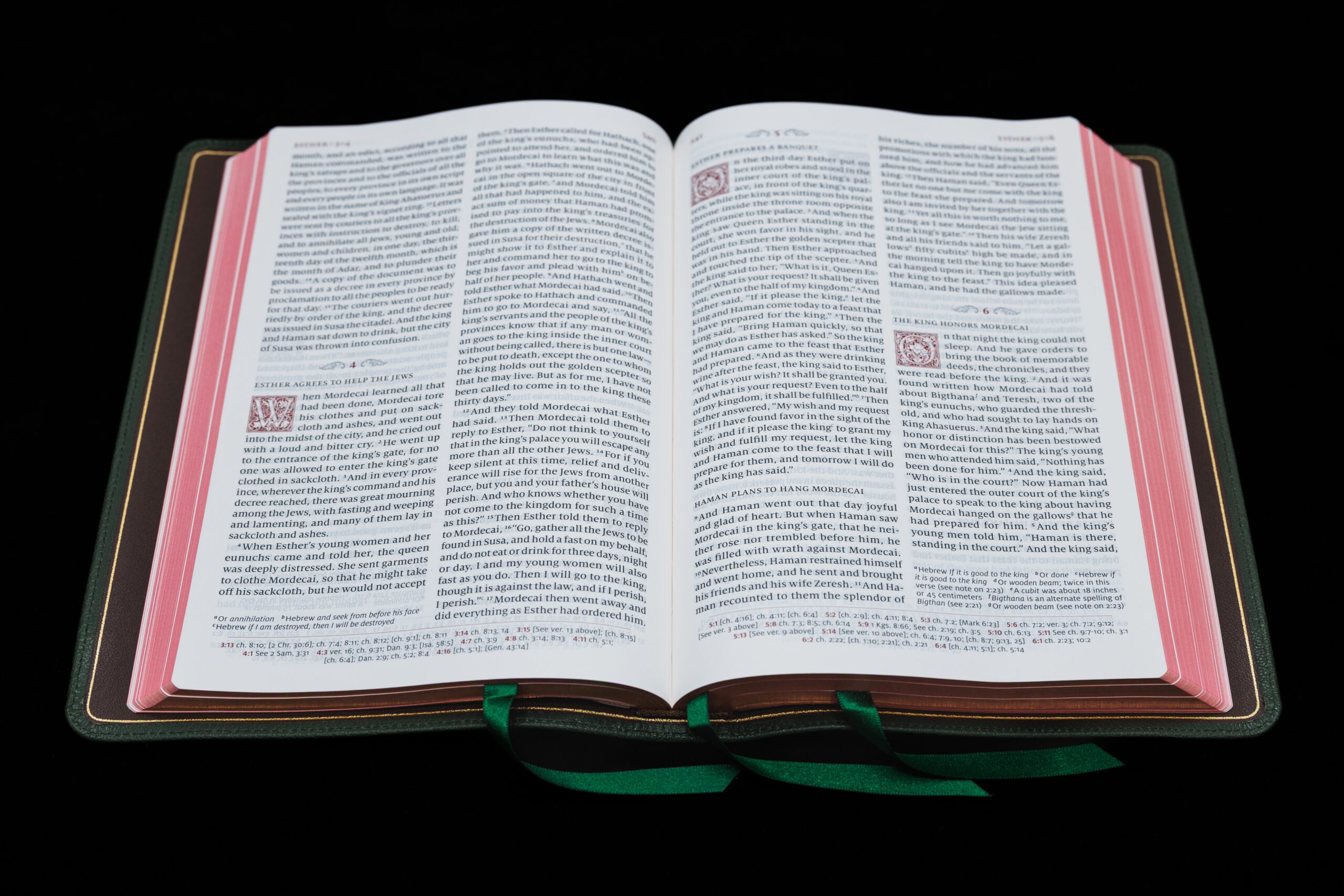Schuyler Quentel ESV, Dark Green Goatskin Bible – PREORDER - Image 2