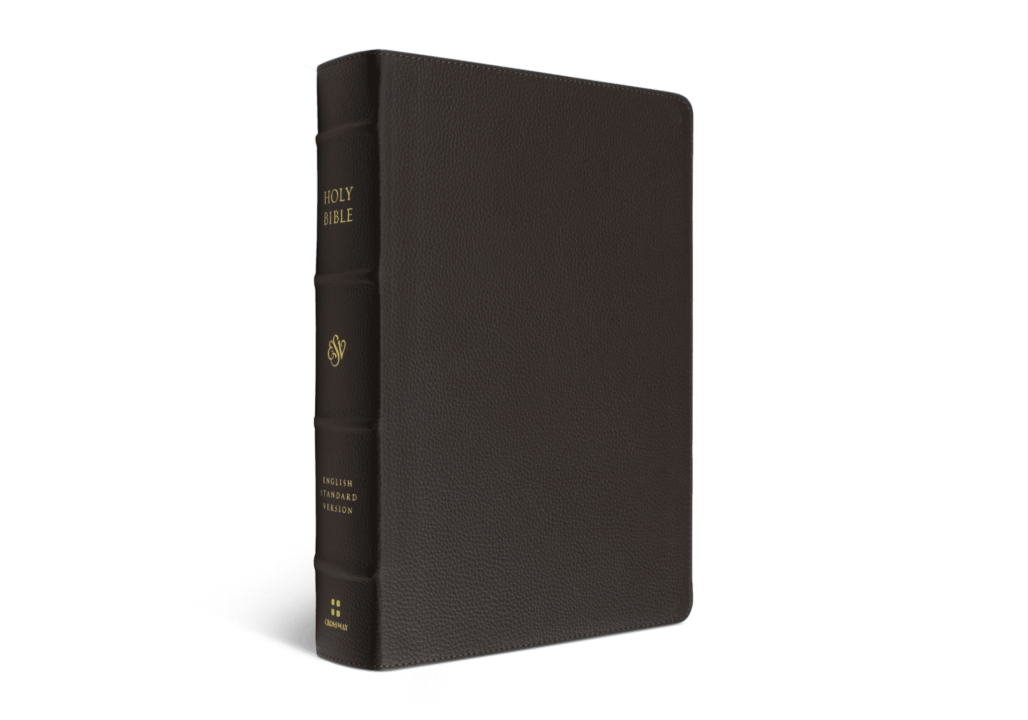 Crossway ESV Single Column Journaling Bible, Large Print, Buffalo ...