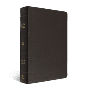 Crossway ESV Single Column Journaling Bible®, Large Print Buffalo Leather, Deep Brown