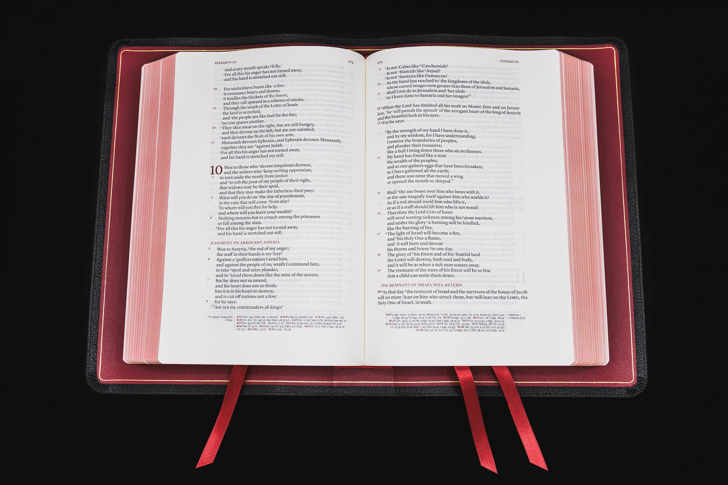 Schuyler Stridon NASB, Full Yapp Black Goatskin Bible - Image 6