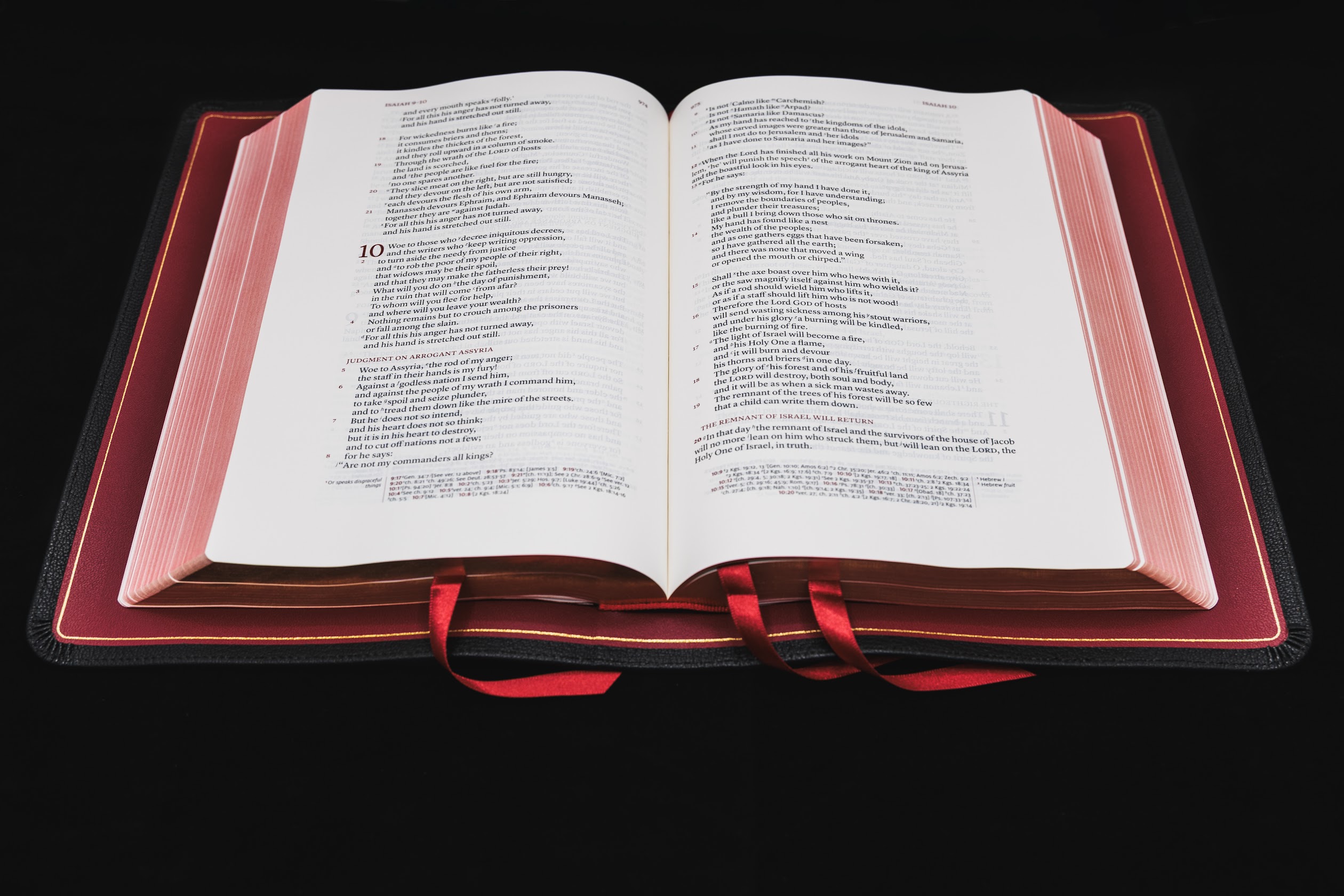 Schuyler Stridon NASB, Full Yapp Black Goatskin Bible - Image 2