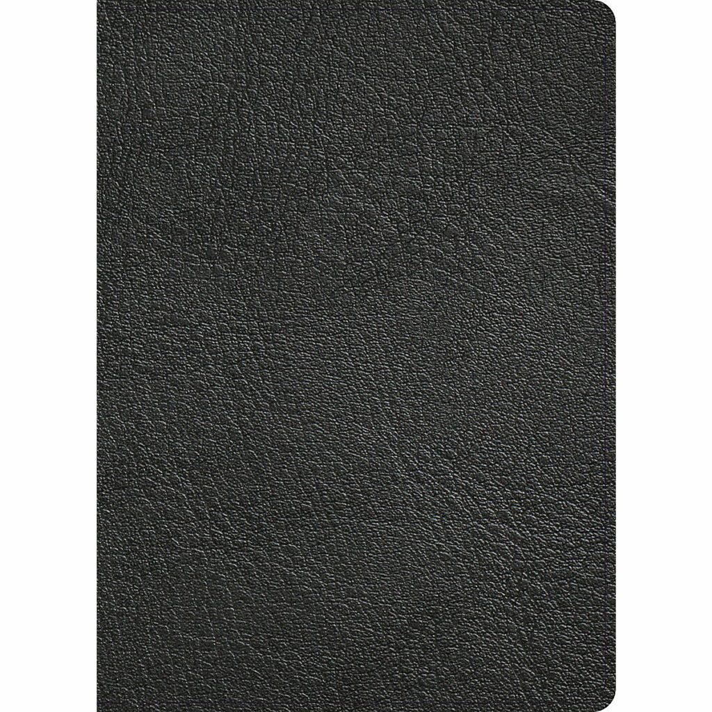 premium-holman-bibles-evbible