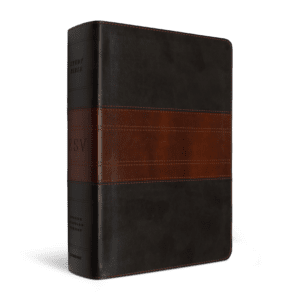 Crossway ESV Study Bible, Large Print TruTone®, Forest/Tan, Trail Design