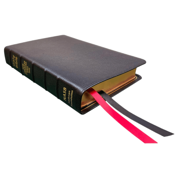 Lockman NASB 2020 Bibles | EvBible.com