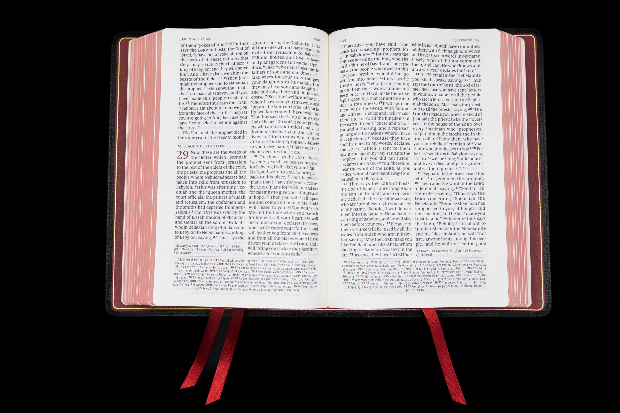 Schuyler Quentel NASB, Black Goatskin Bible – PREORDER - Image 2