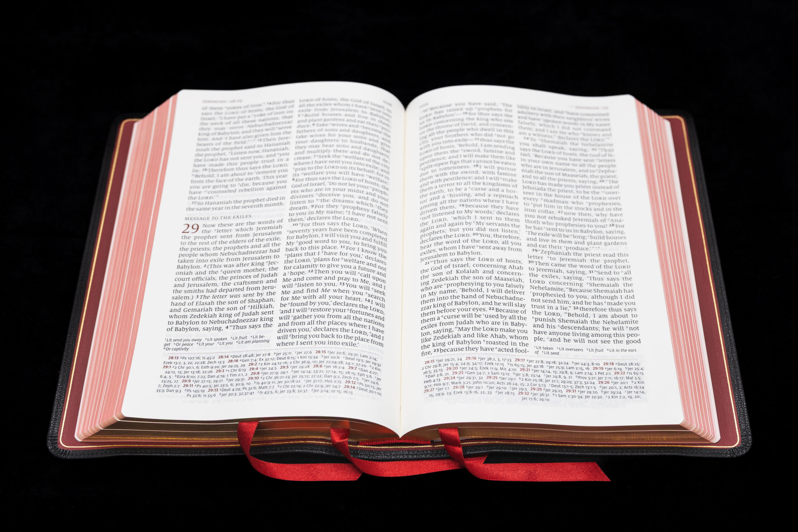 Schuyler Quentel NASB, Black Goatskin Bible – PREORDER - Image 3