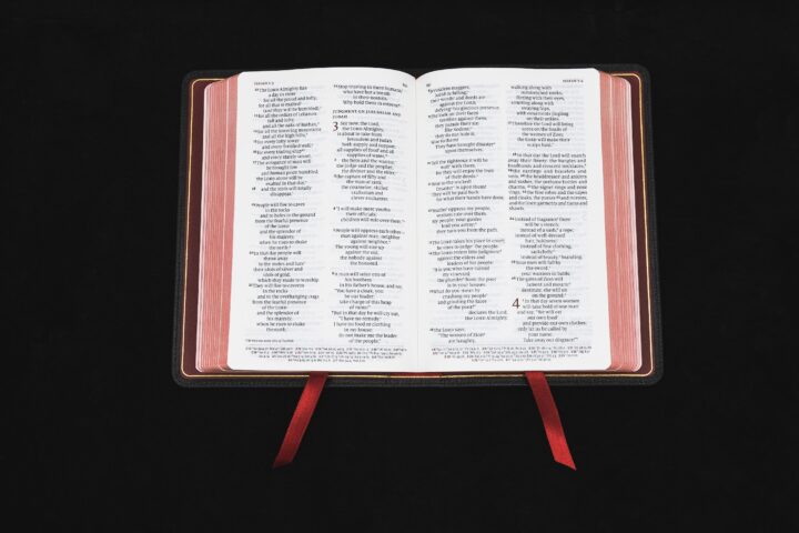 Schuyler Personal Size Quentel NIV, Black Goatskin Bible – PREORDER - Image 2