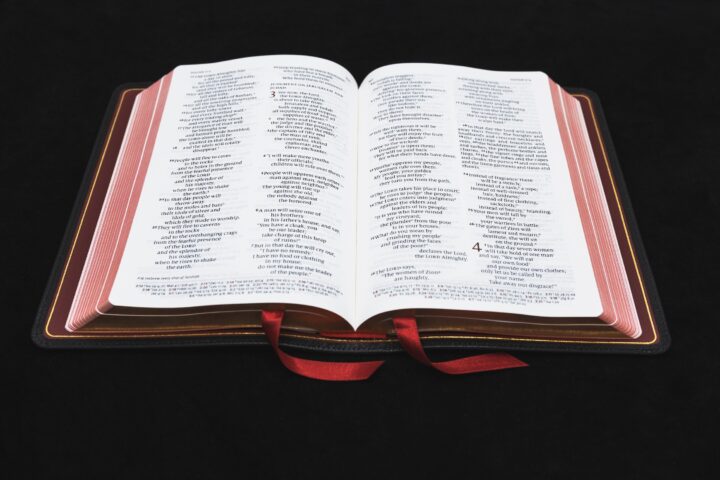 Schuyler Personal Size Quentel NIV, Black Goatskin Bible – PREORDER - Image 4