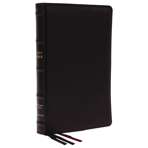 Nelson KJV, Thinline Bible, Large Print, Premium Goatskin Leather ...