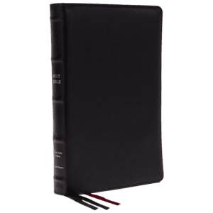 Nelson KJV, Thinline Bible, Large Print, Premium Goatskin Leather, Black, Premier Collection, Red Letter