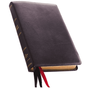 Nelson NKJV Thinline Reference Bible, Large Print, Premium Leather, Black