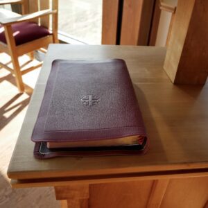 Schuyler Stridon NASB, Full Yapp Firebrick Red Goatskin Bible