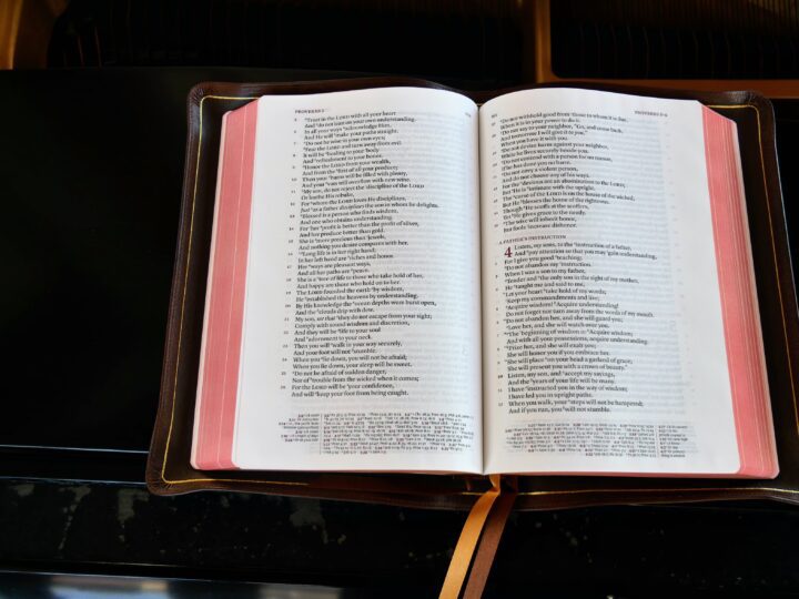Schuyler Stridon NASB, Full Yapp Chestnut Calfskin Bible – PREORDER - Image 2
