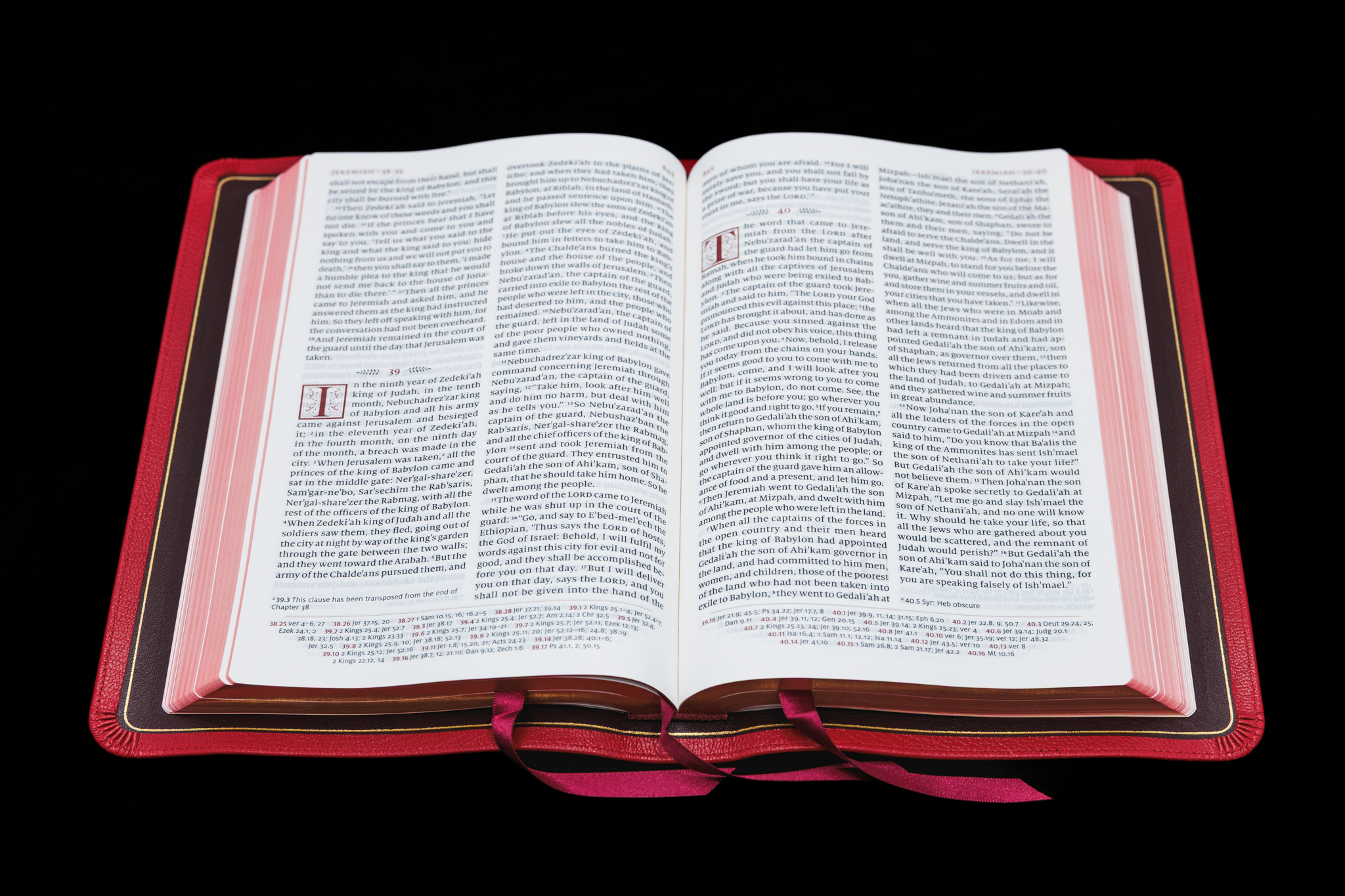 Schuyler Quentel RSV <em>with Apocrypha</em>, Full Yapp Cardinal Red Goatskin Bible – PREORDER - Image 3