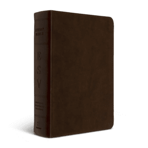 Crossway ESV Study Bible, Personal Size (TruTone®, Brown)