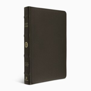 Crossway ESV Large Print Thinline Reference Bible (Top Grain Leather, Brown)