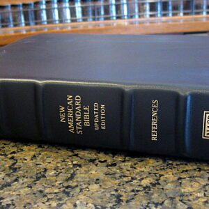 Lockman NASB 1995 Large Print Ultrathin Reference Bible, Black Calfskin