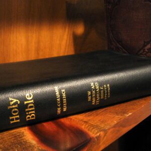 Lockman NASB 1995 Side-Column Wide Margin Reference Bible,  Black Genuine Leather
