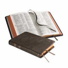 Cambridge NASB Pitt Minion Reference Bible, Brown Goatskin