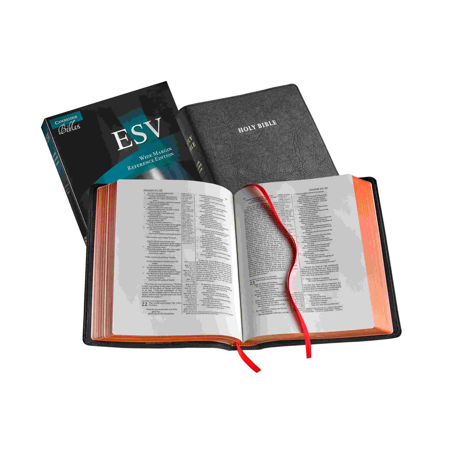 Cambridge ESV Aquila Wide Margin Reference Bible, Black Goatskin, RED ...