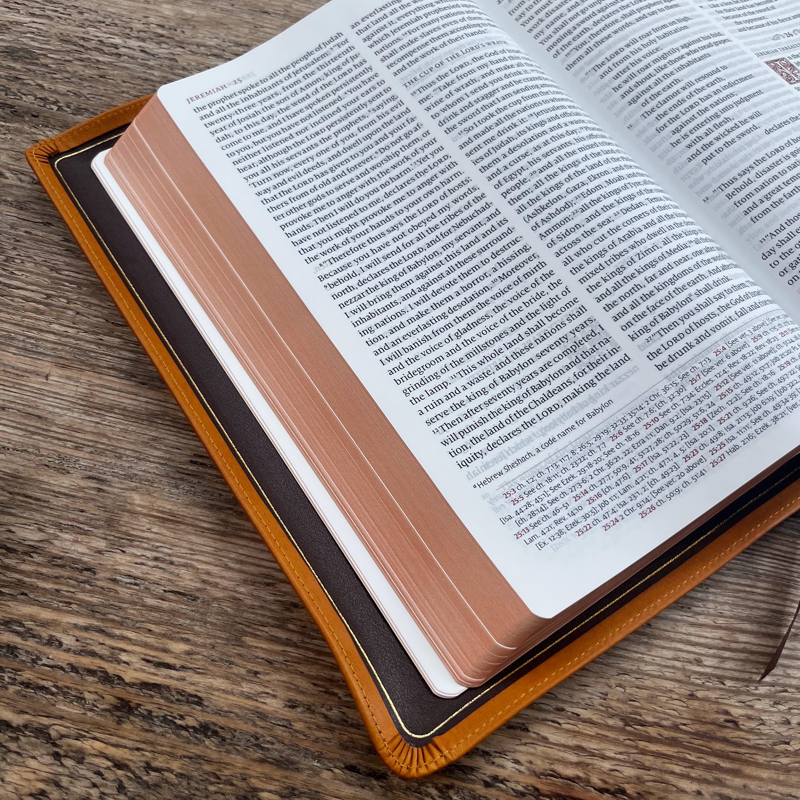 Schuyler Quentel ESV, Full Yapp Tuscany Calfskin Bible - Image 4