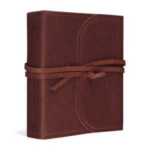 ESV Journaling Study Bible Natural Leather, Brown, Flap with Strap