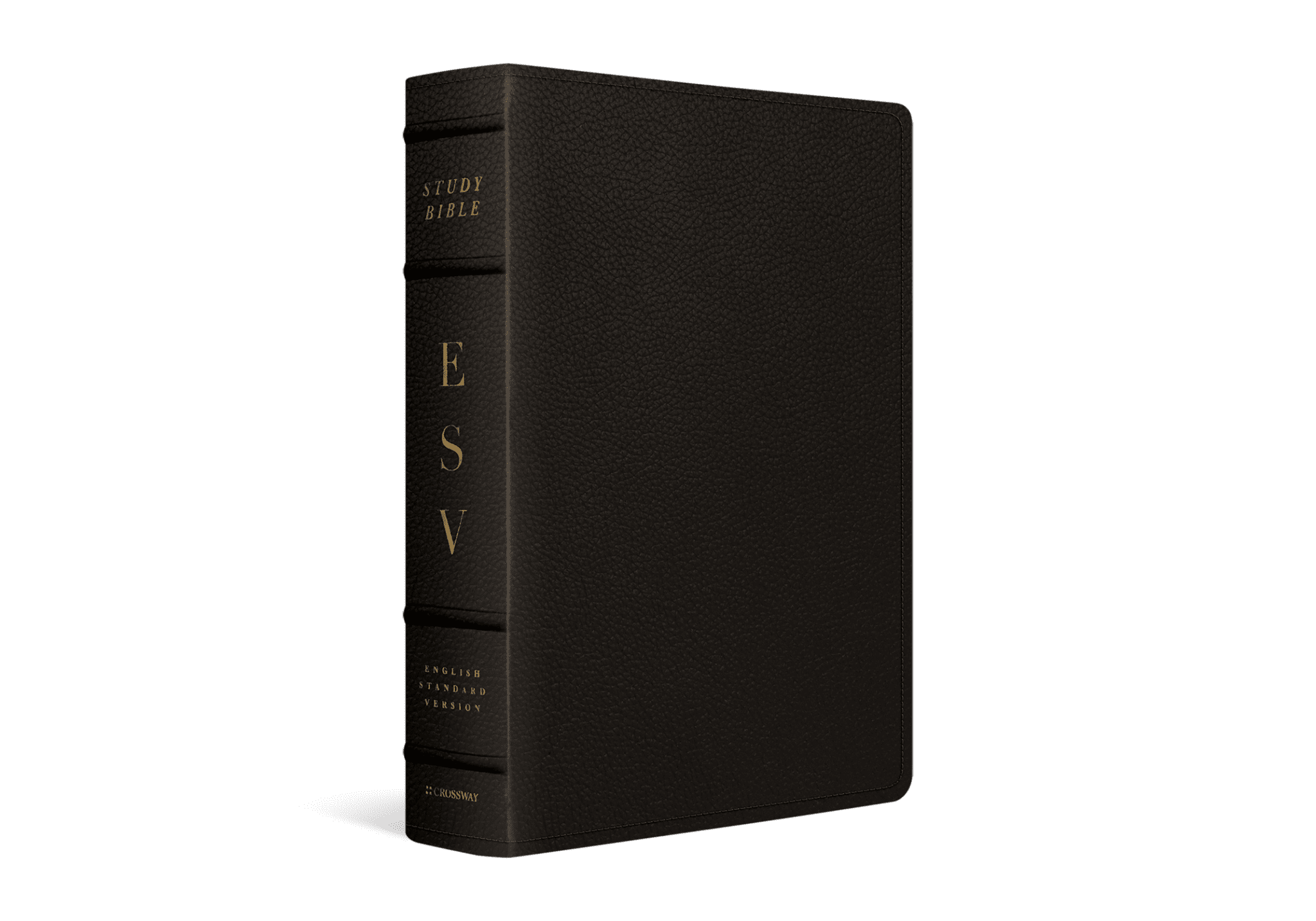 ESV Study Bible, Large Print Buffalo Leather, Deep Brown ...