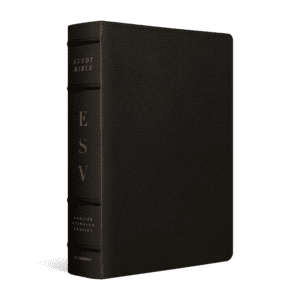 ESV Study Bible, Large Print Buffalo Leather, Deep Brown