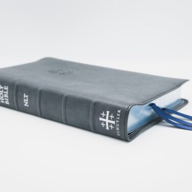 Schuyler Quentel NLT, Black Pearl Calfskin Bible