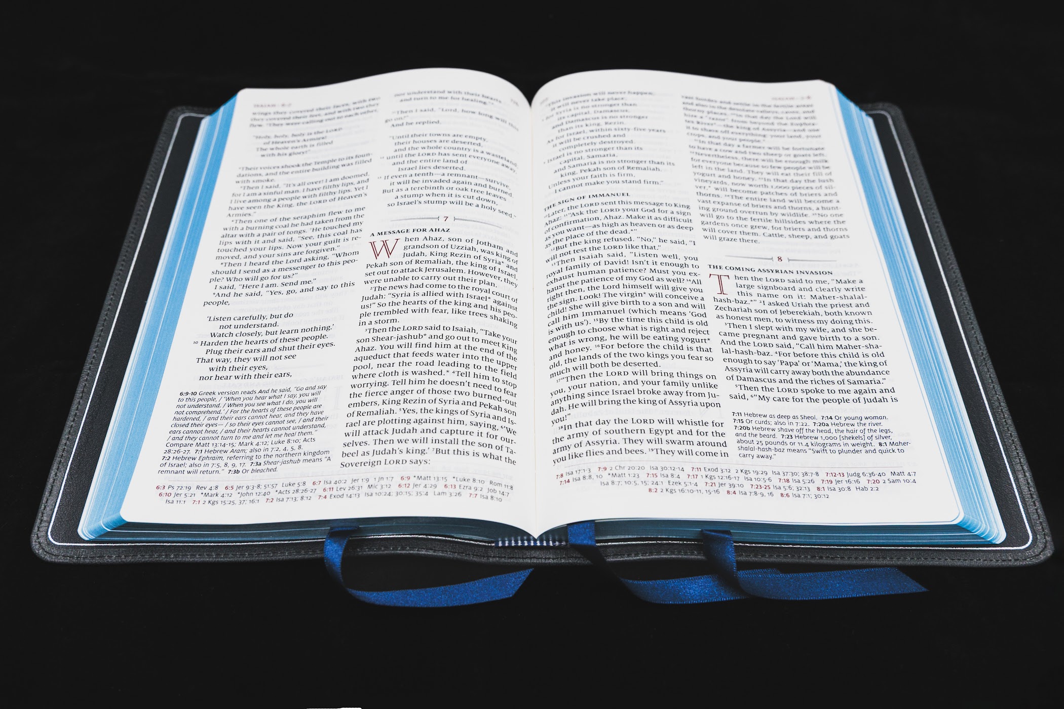 Schuyler Quentel NLT, Black Pearl Calfskin Bible - Image 3