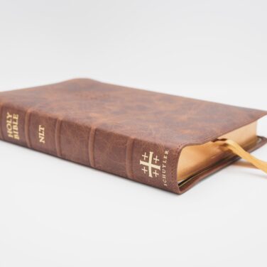 Schuyler Quentel NLT, Chestnut Calfskin Bible