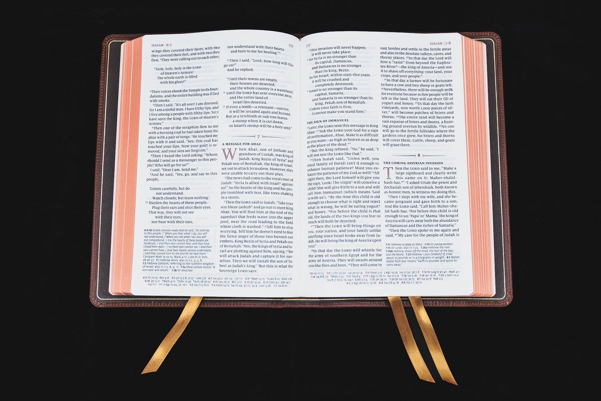 Schuyler Quentel NLT, Chestnut Calfskin Bible - Image 5