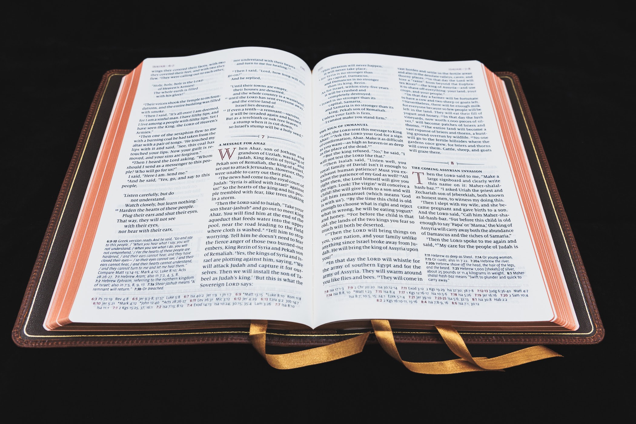 Schuyler Quentel NLT, Chestnut Calfskin Bible - Image 4