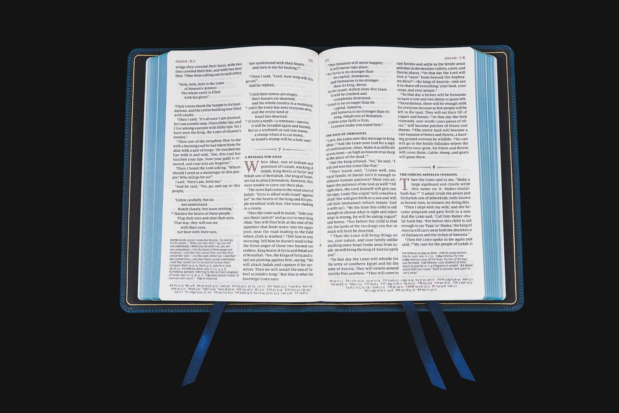 Schuyler Quentel NLT, Marbled Sapphire Calfskin Bible - Image 5