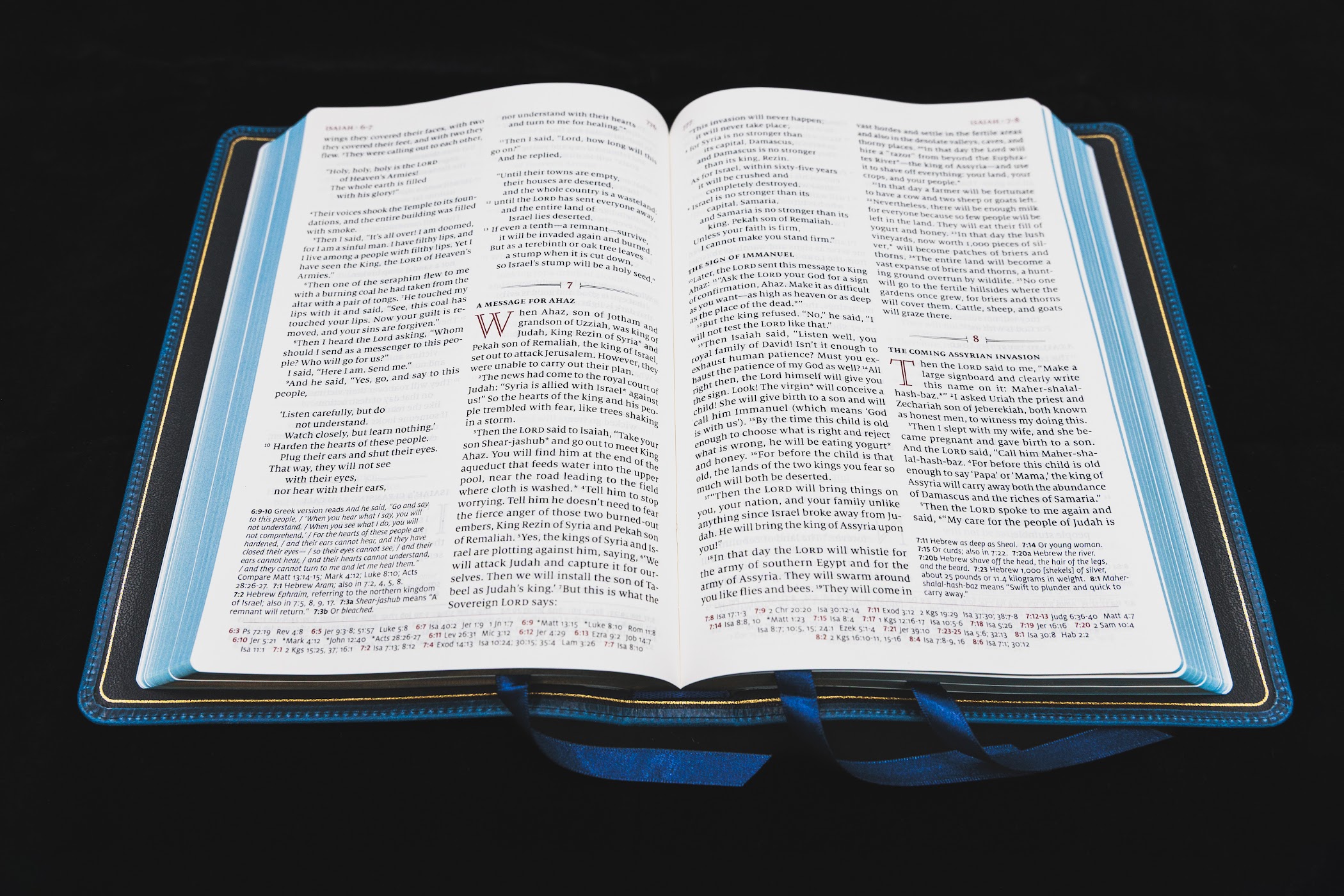 Schuyler Quentel NLT, Marbled Sapphire Calfskin Bible - Image 4